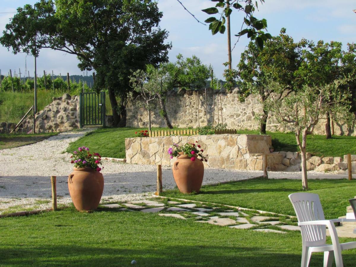 I Grilli B&B Baone Ngoại thất bức ảnh
